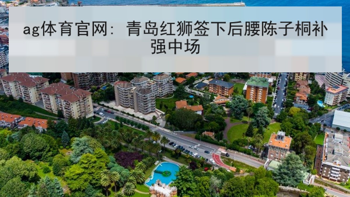 ag体育官网: 青岛红狮签下后腰陈子桐补强中场